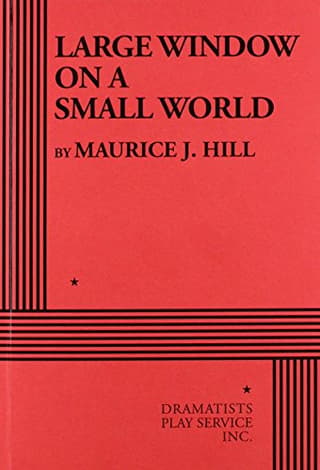 Large Window On A Small World Book Cover