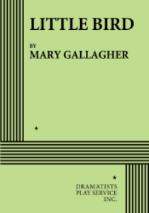 Little Bird Book Cover