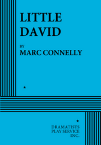 Little David Book Cover