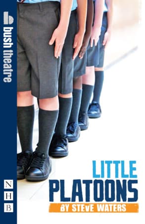 Little Platoons Book Cover
