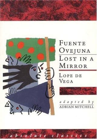 Lost in a Mirror Book Cover