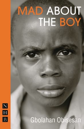 Mad About the Boy Book Cover