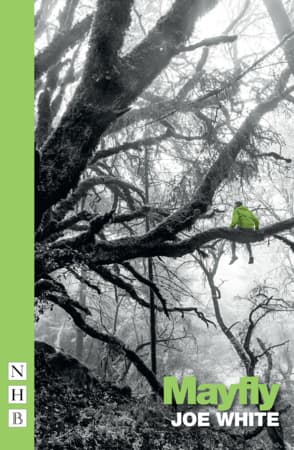 Mayfly Book Cover