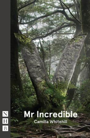 Mr Incredible (VAULT version) Book Cover