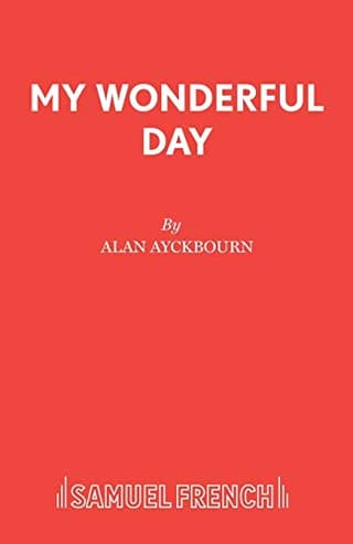 My Wonderful Day Book Cover
