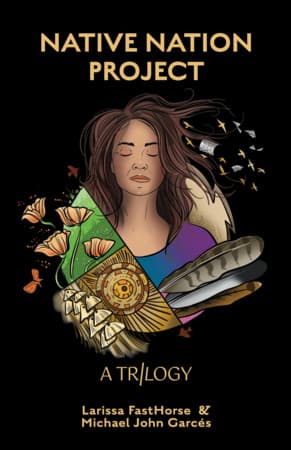 Native Nation Project Book Cover