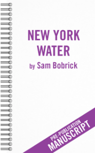 New York Water Book Cover