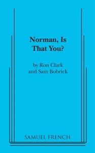 Norman, Is That You? Book Cover