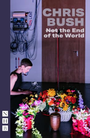 (Not) the End of the World Book Cover