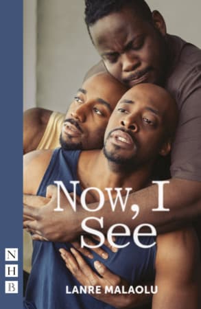 Now, I See Book Cover