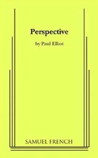 Perspective Book Cover