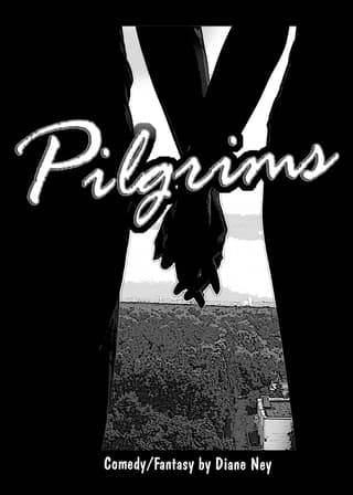 Pilgrims Book Cover