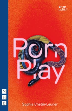 Porn Play Book Cover