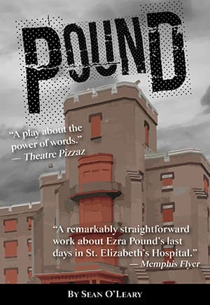 Pound Book Cover