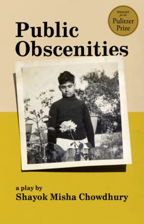 Public Obscenities Book Cover