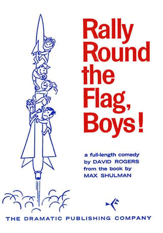 Rally 'Round the Flag, Boys! Book Cover