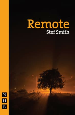 Remote Book Cover