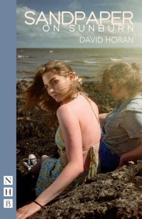 Sandpaper on Sunburn Book Cover