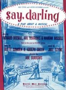 Say, Darling Book Cover