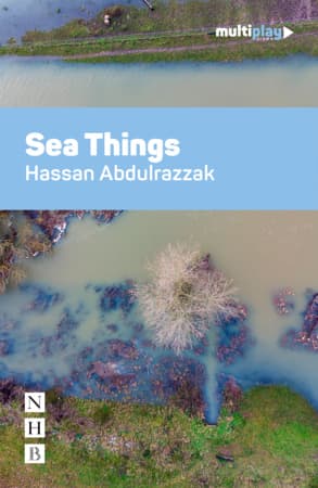 Sea Things Book Cover