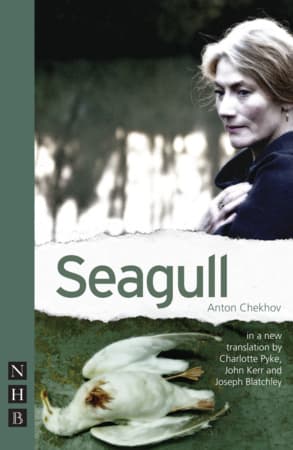 Seagull Book Cover