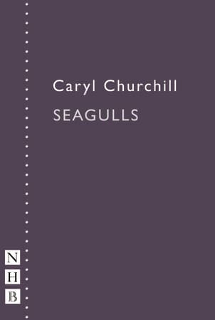 Seagulls Book Cover
