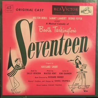 Seventeen - The Musical Book Cover