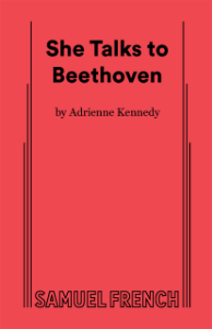 She Talks to Beethoven Book Cover