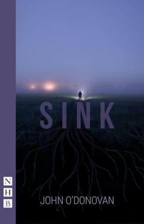Sink Book Cover