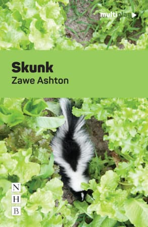 Skunk Book Cover