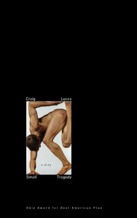 Small Tragedy Book Cover