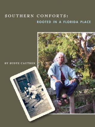Southern Comforts Book Cover
