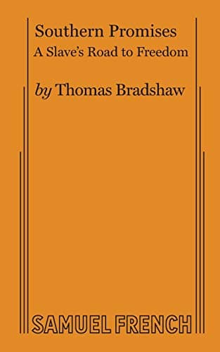 Southern Promises Book Cover