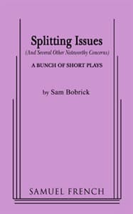 Splitting Issues (And Several Other Noteworthy Concerns) Book Cover