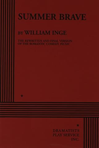 Summer Brave Book Cover