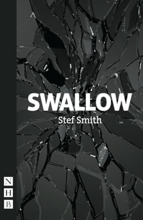 Swallow Book Cover