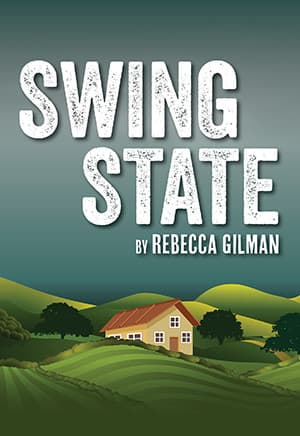 Swing State Book Cover