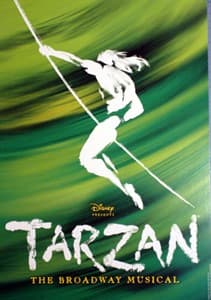 Tarzan  Book Cover