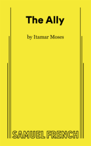 The Ally Book Cover