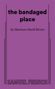 the bandaged place Book Cover