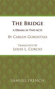 The Bridge (Curcio) Book Cover