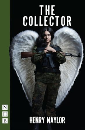 The Collector Book Cover