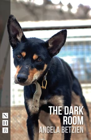 The Dark Room Book Cover
