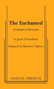 The Enchanted Book Cover
