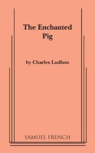 The Enchanted Pig Book Cover