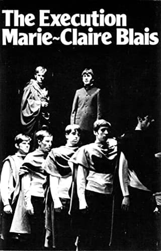 The Execution Book Cover