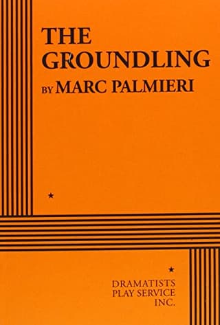 The Groundling Book Cover