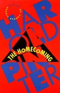 The Homecoming Book Cover