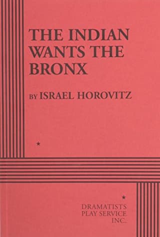 The Indian Wants The Bronx Book Cover