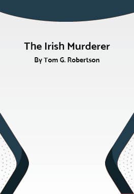 The Irish Murderer Book Cover